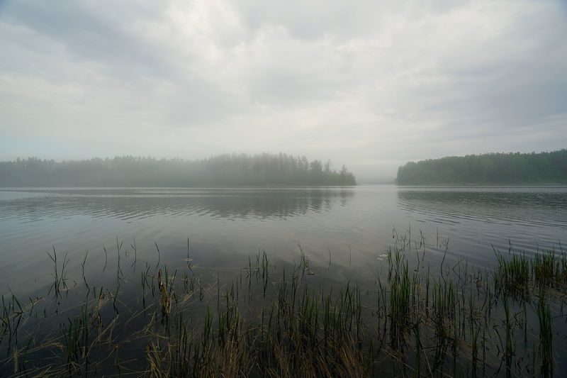 nature, landscape Morning фото превью