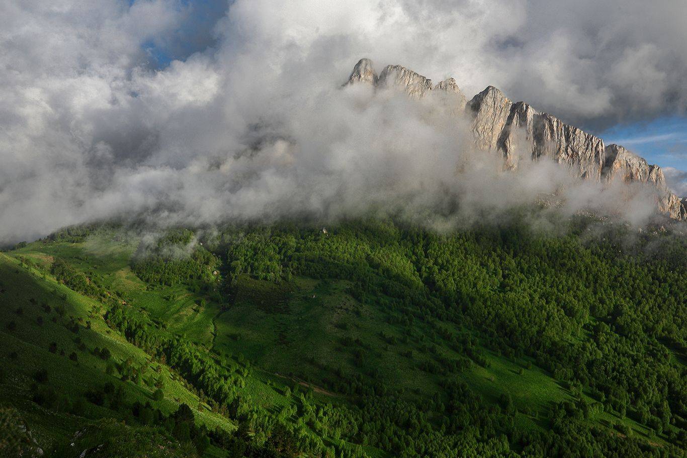 , Андрей Ершов