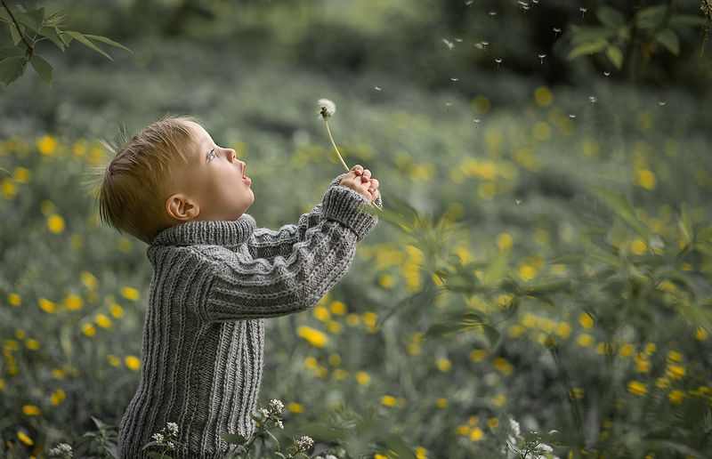 фото превью