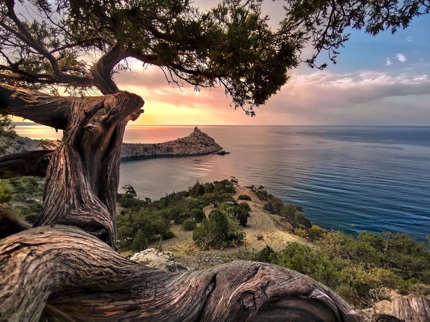 крым море новый свет, Разумов Александр