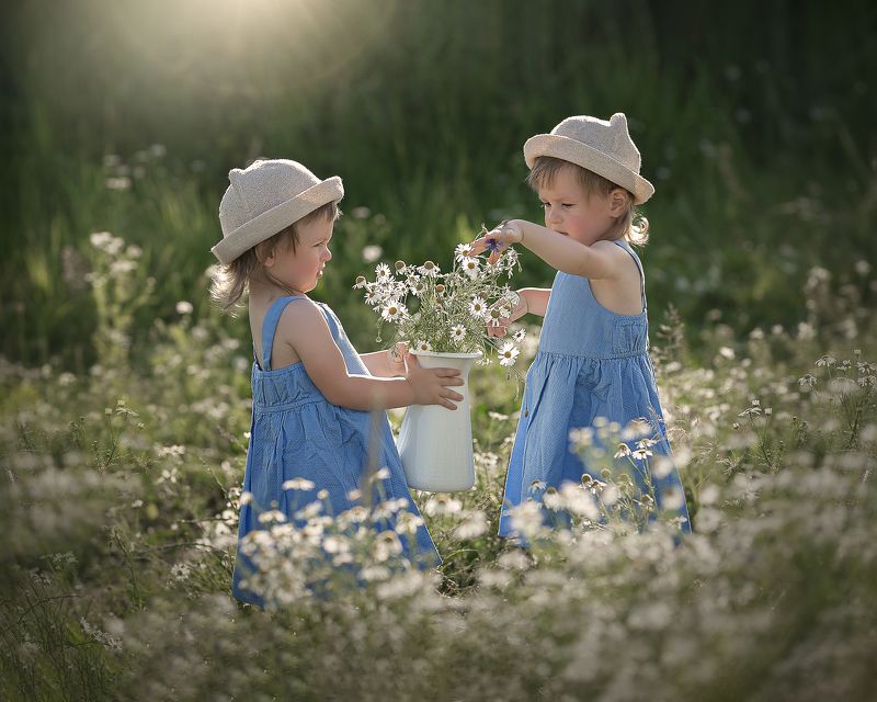 Little girls in chamomile фото превью