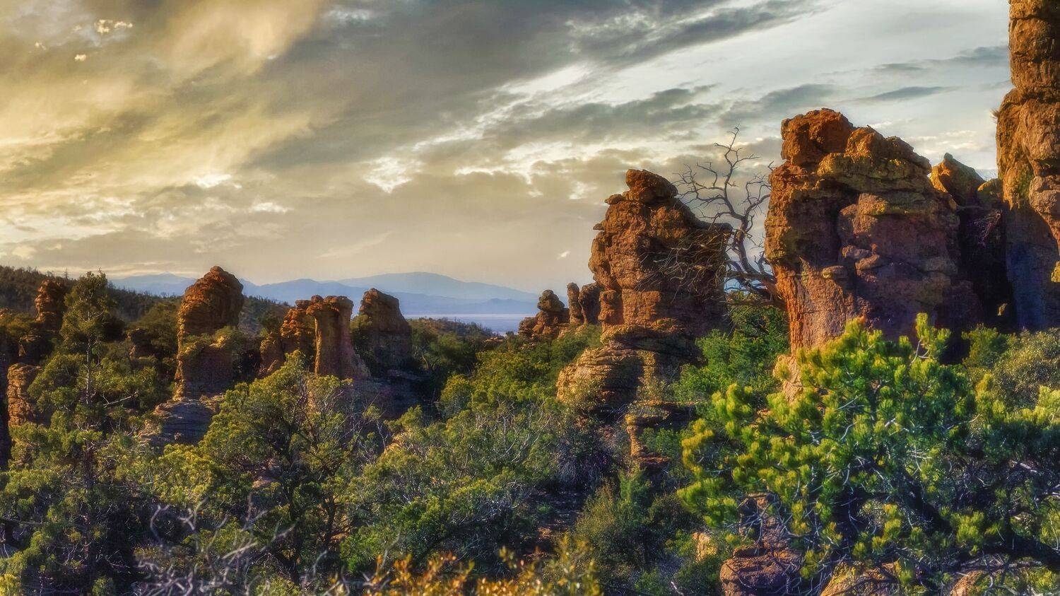 , Шварцман Евгений