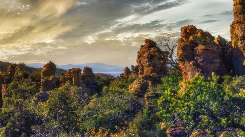 Вид фото превью