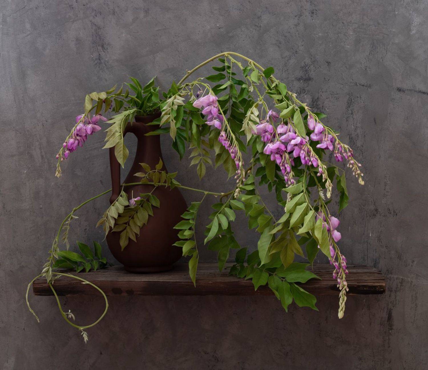 натюрморт, цветы, глициния, Оля