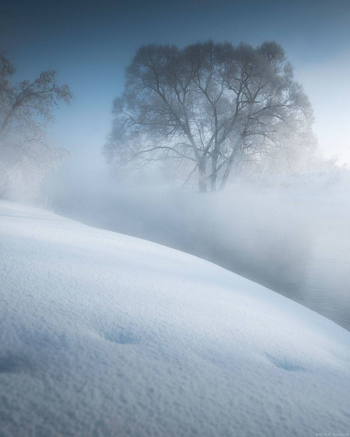 , Антон Шваин