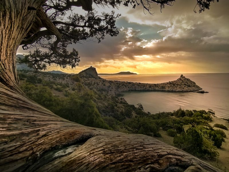 Новый Свет в объективе! фото превью