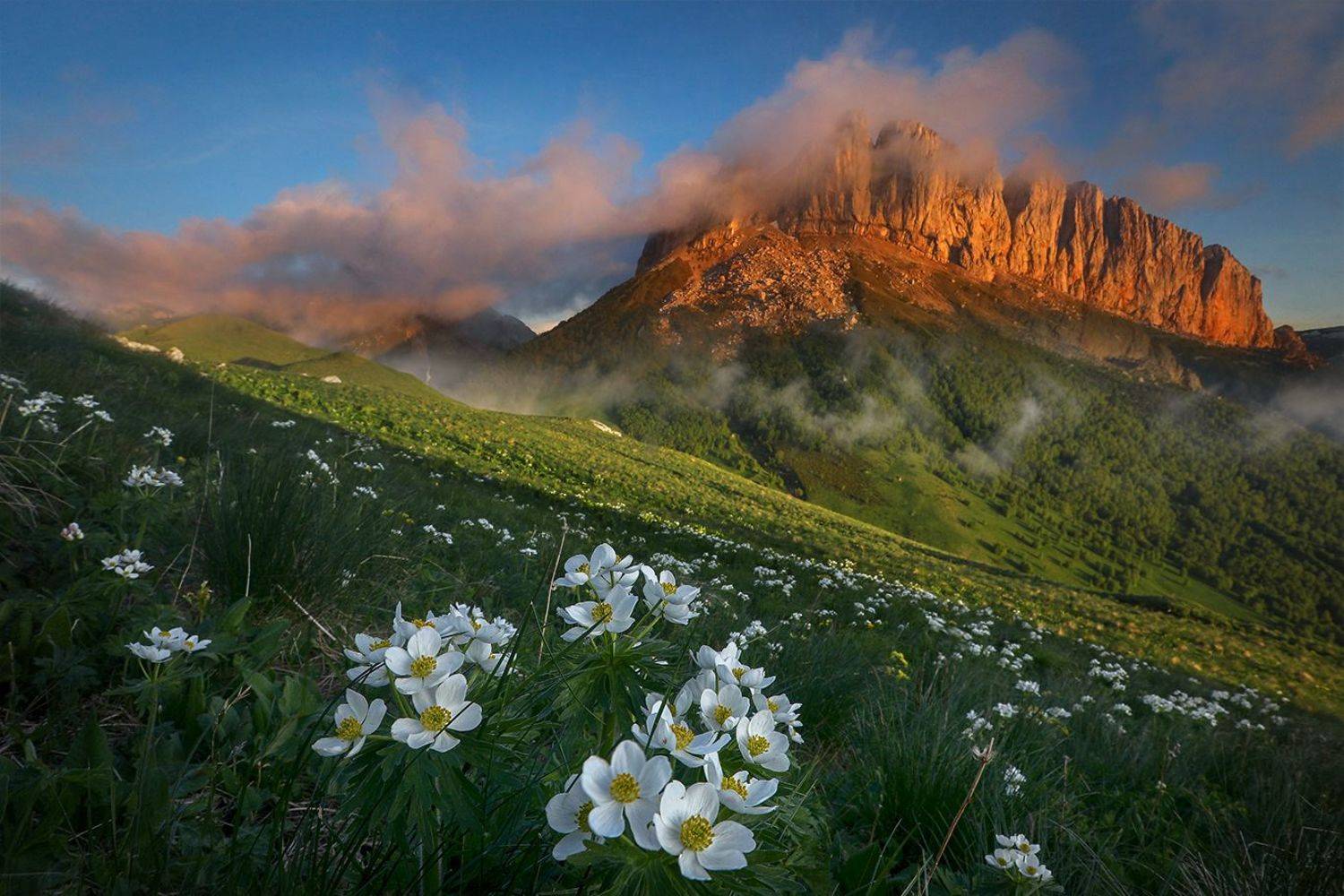 , Андрей Ершов