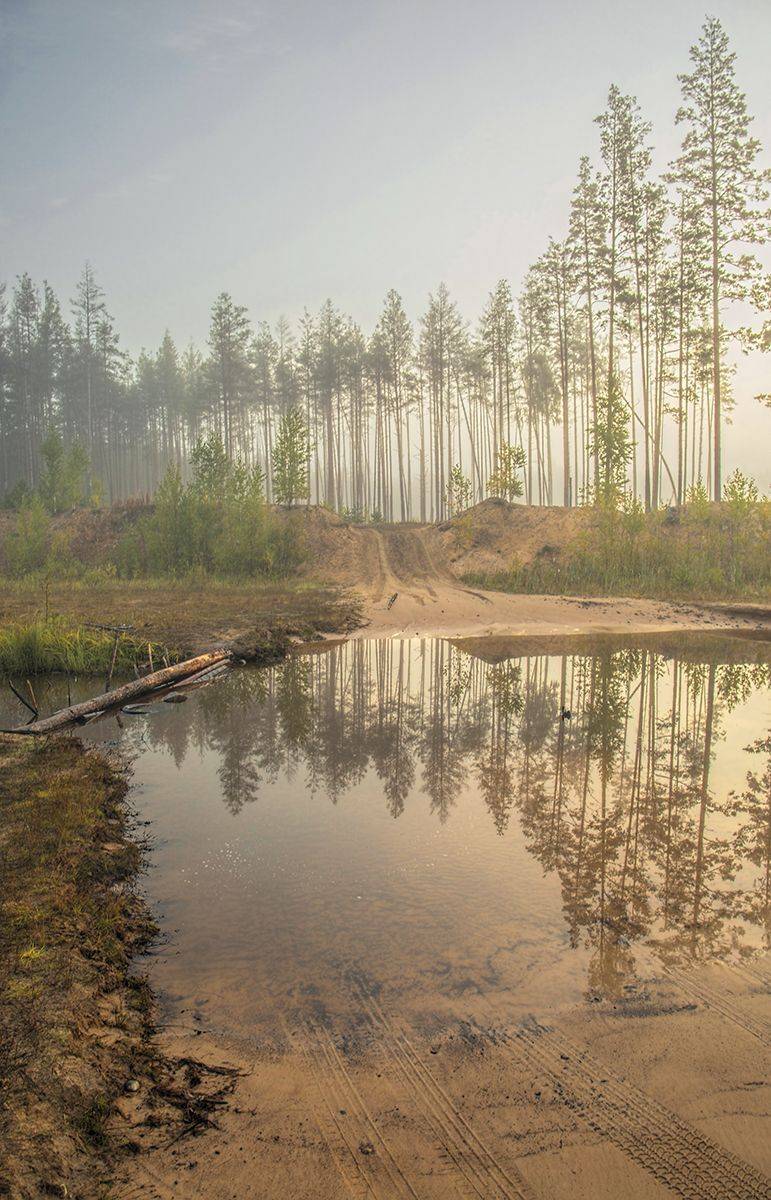 ленинградская обл,матокса, alexOmRam