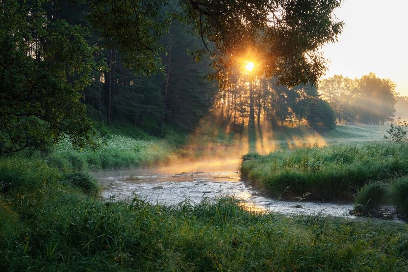 Утренняя нега фото превью