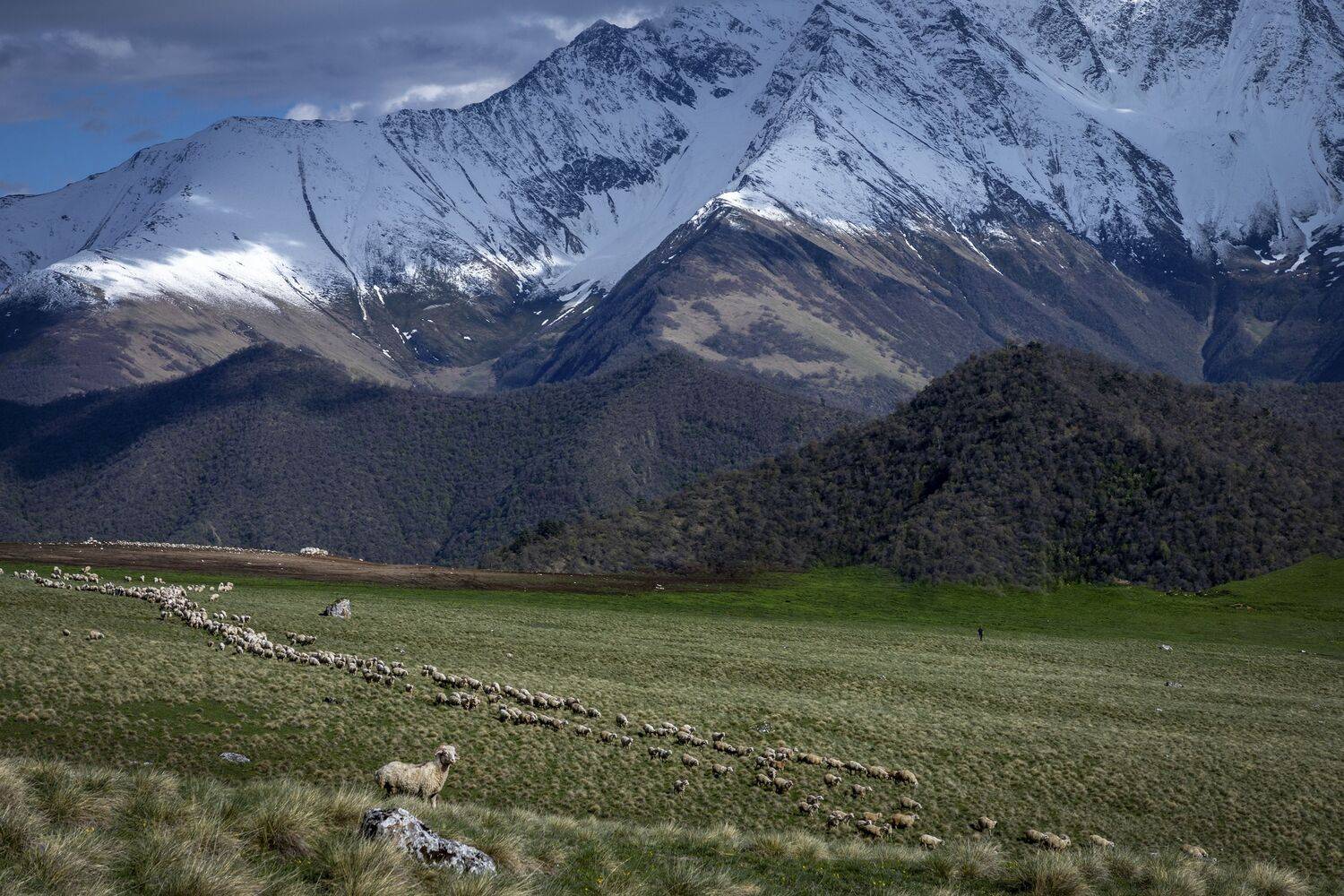Ингушетия, Гусева Елена