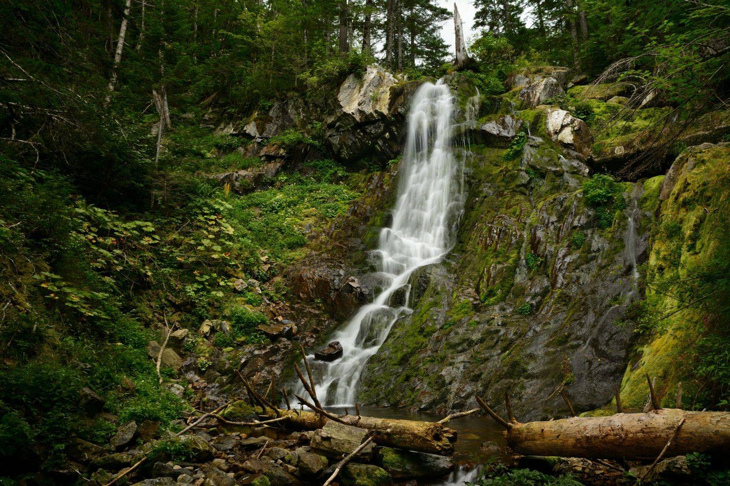 , Сергей Едуш