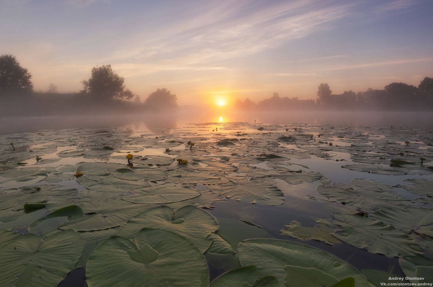 солнце, россия, рассвет, природа, подмосковье, погода, пейзажи, пейзаж, отражение, наукоград, красота, дубна, вода, весна, weather, water, spring, russia, reflection, naukograd, nature, moscow, landscape, dawn, canon, dubna, beauty, Олонцев Андрей