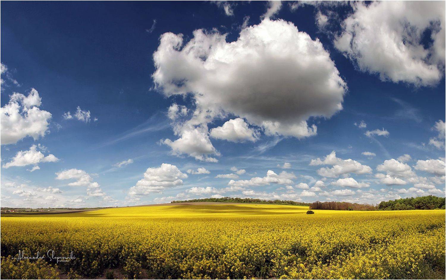 sky, Alexander Slepcowski