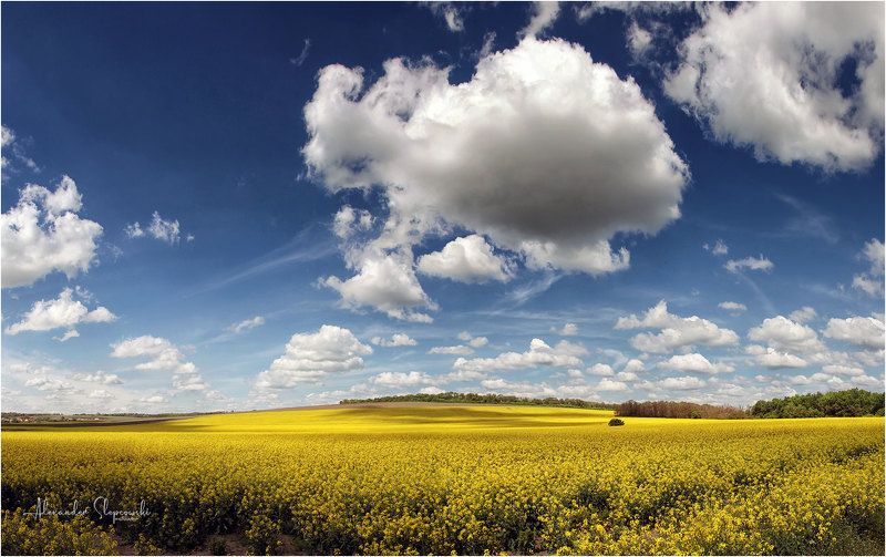 Racing фото превью