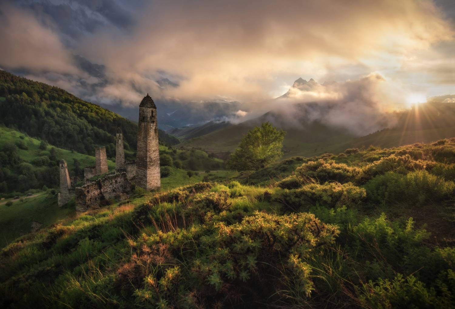 ингушетия, Андрей Грачев