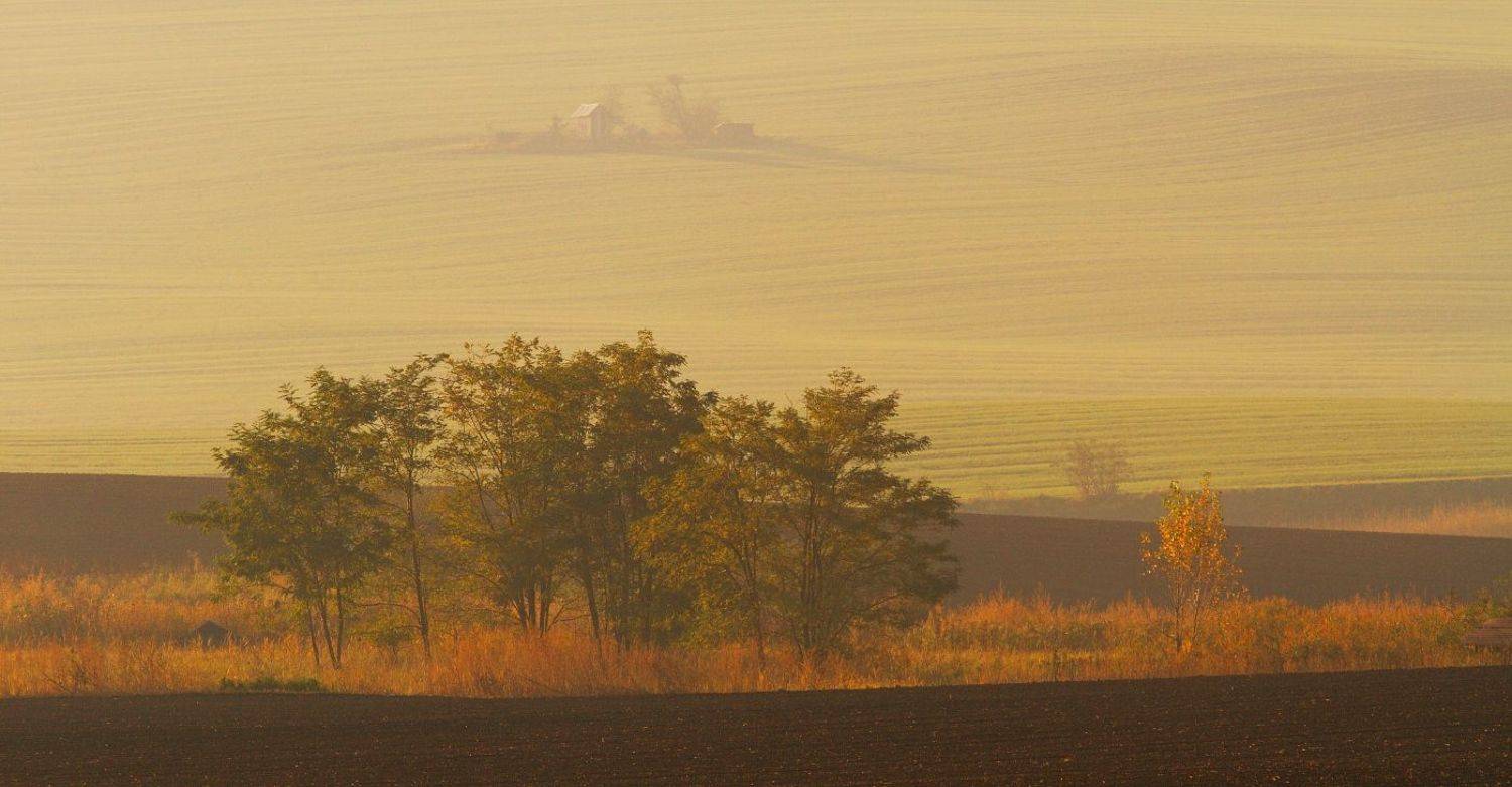 , Franti&scaron;ek Uhler
