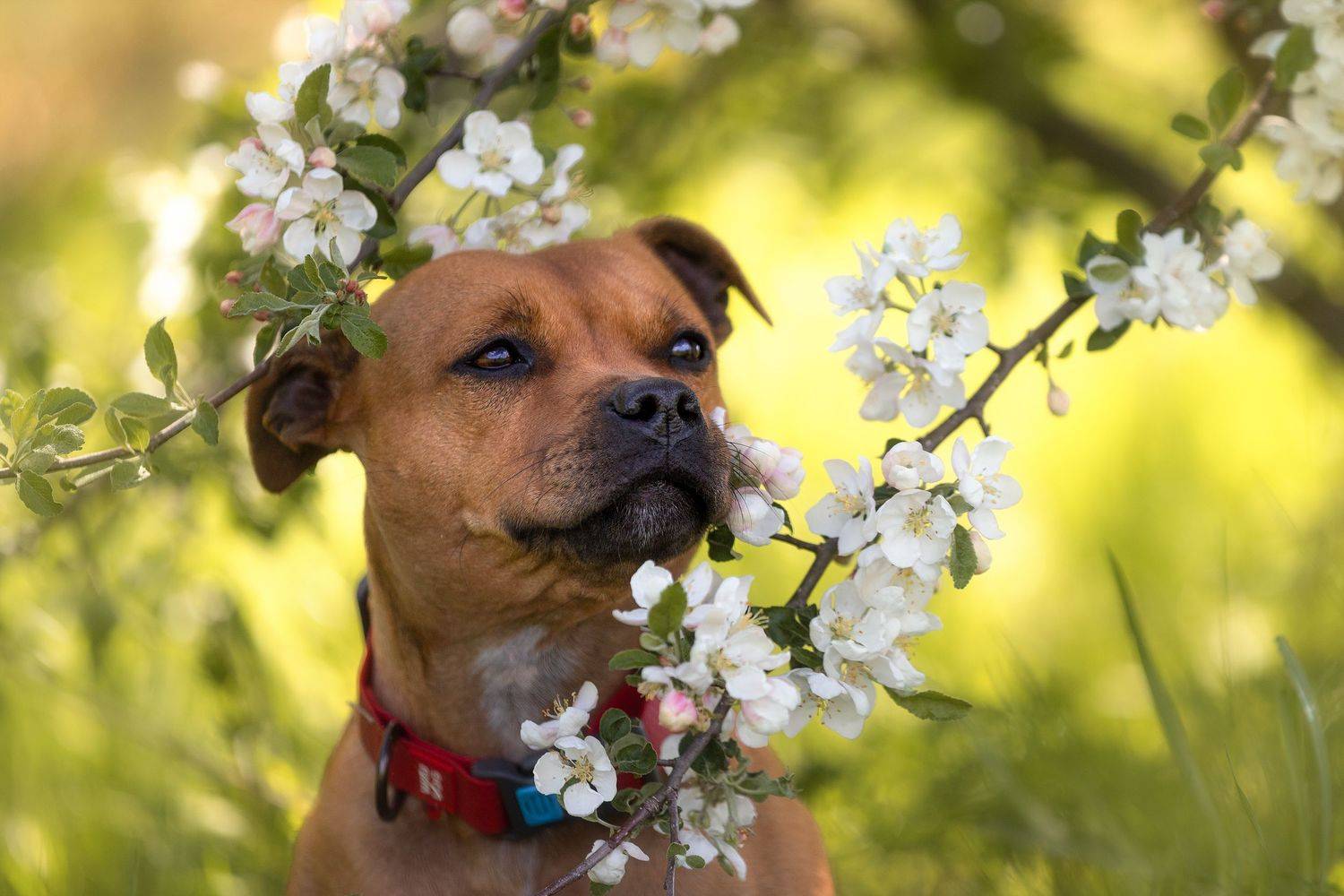 , Шерскова Мария