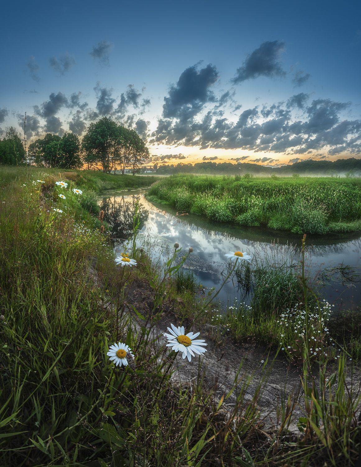 , Николай Андреев
