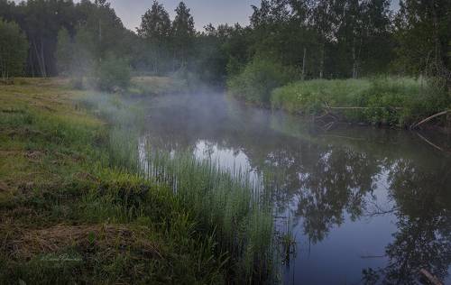 Утро Река Куекша, Щелыково