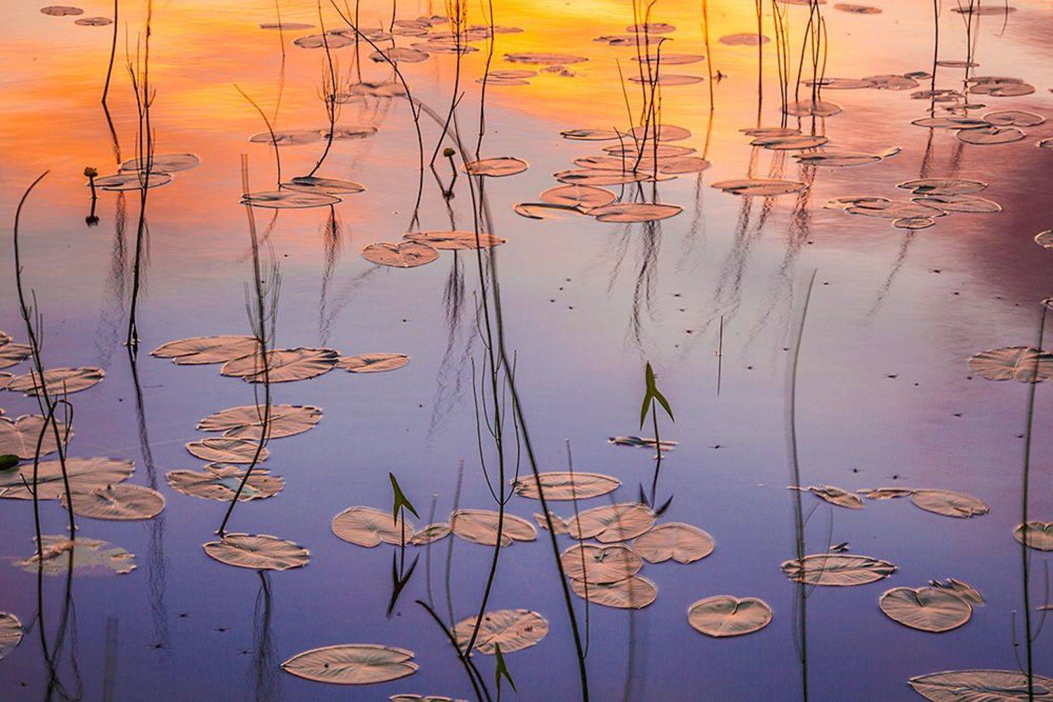 , Напалкин Станислав