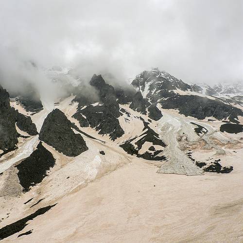 Розовый Цей