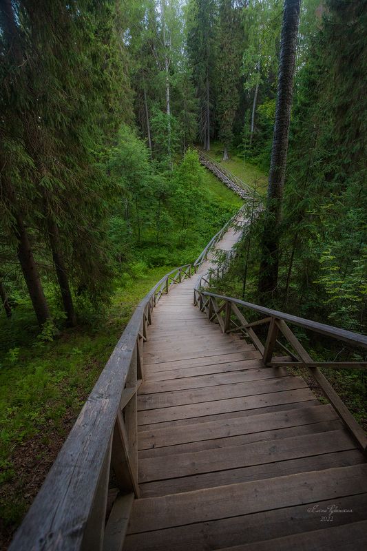 щелыково, кострома, костромская область,никола-бережки Лестница в сказку. Никола-Бережки фото превью
