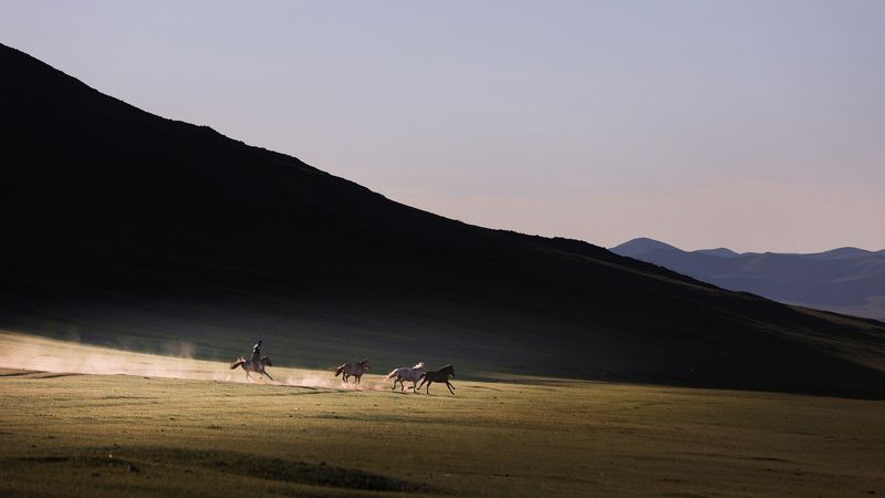 monggol фото превью