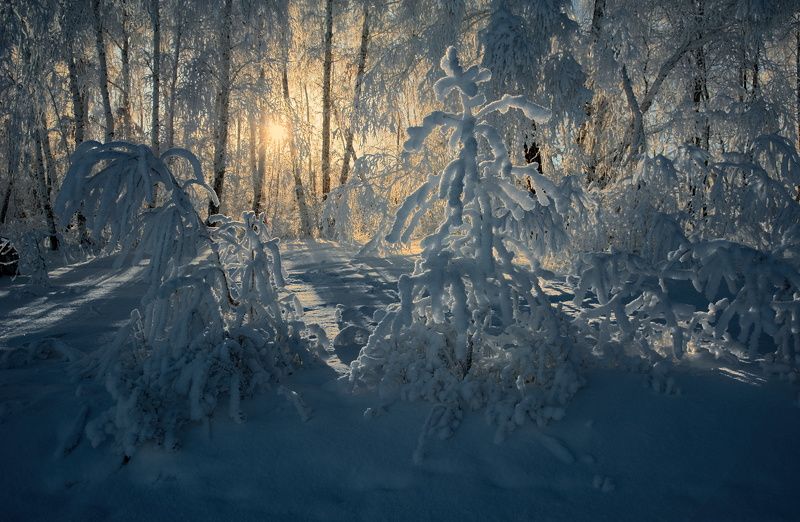 зимние одежды фото превью