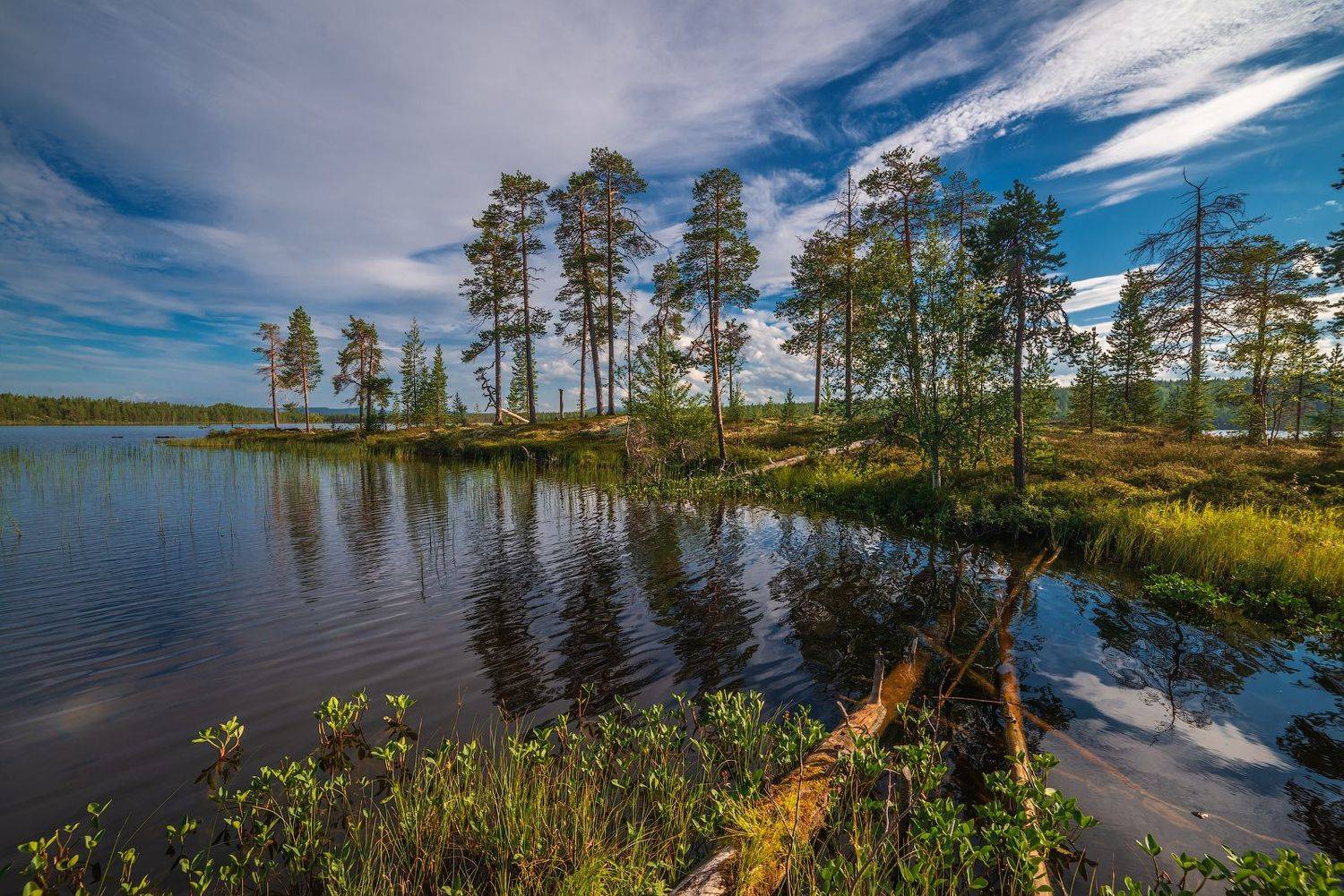 север, кольский, заполярье,, Роман Горячий