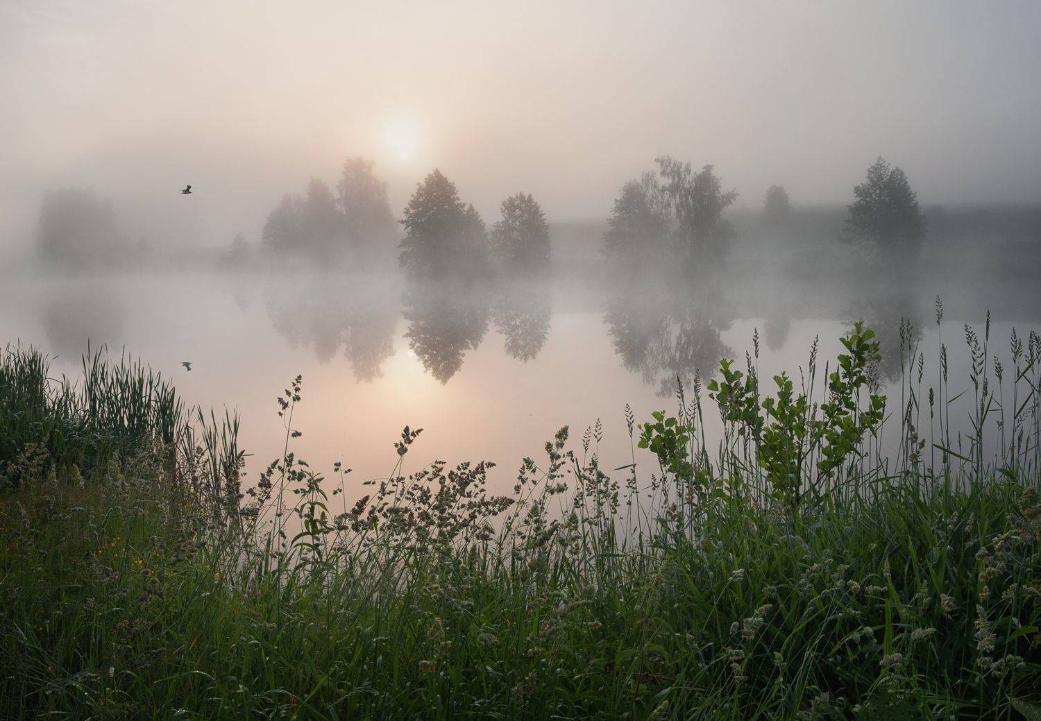 туман, свет, утро, природа, Баранов Олег