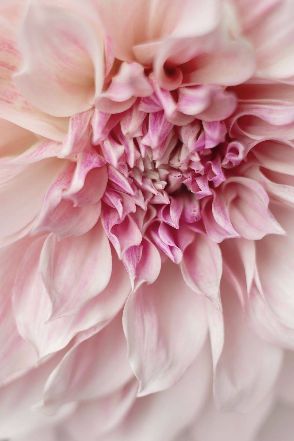 , Ксения Максименко