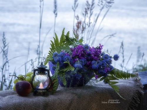 Летние сумерки на реке