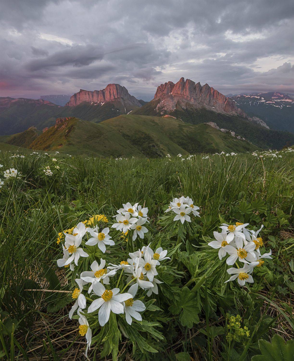 западный кавказ , ачешбок, чертовы ворота, природный парк, большой тхач,ветреница, рассвет, лето, июнь, Мысливцев Николай