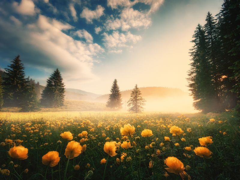 Утро в горах Болгарии.... (мобильная фотография) фото превью