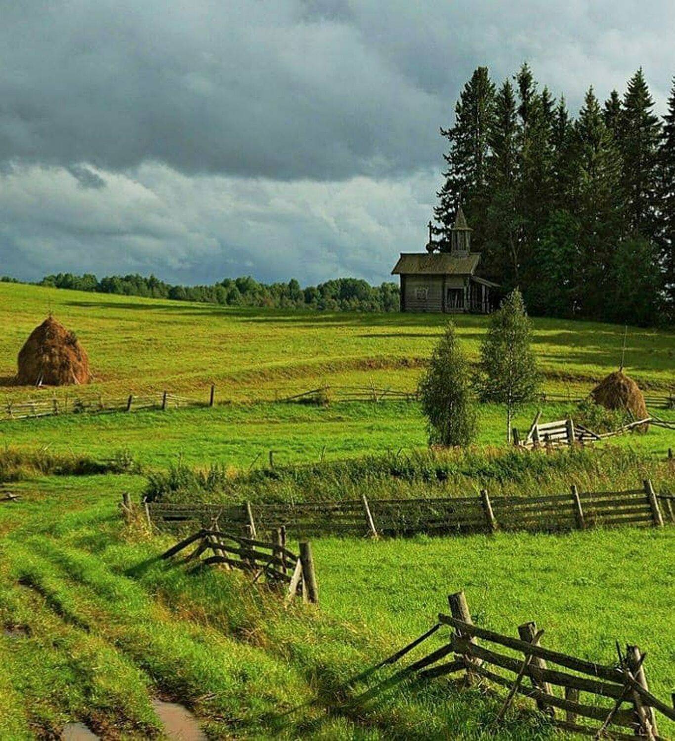, Петр Косых