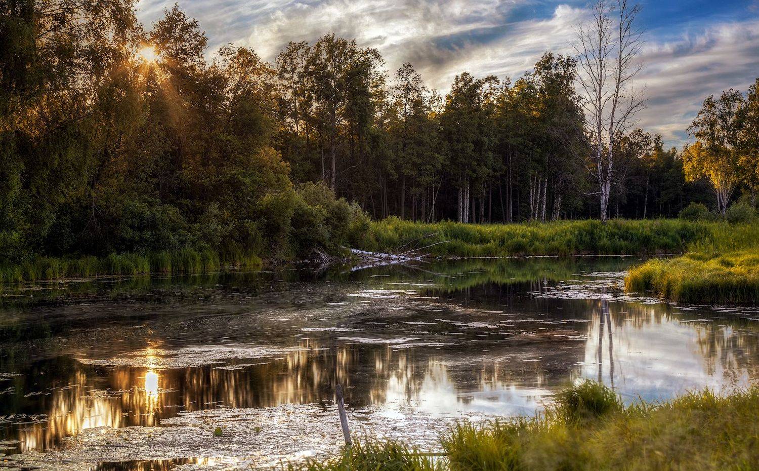 гатчина парк зверинец река теплая лето июль закат, Скороходов Константин
