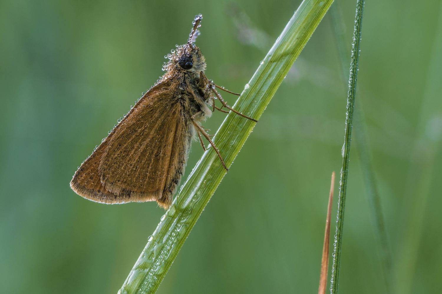 , Роман Зайцев