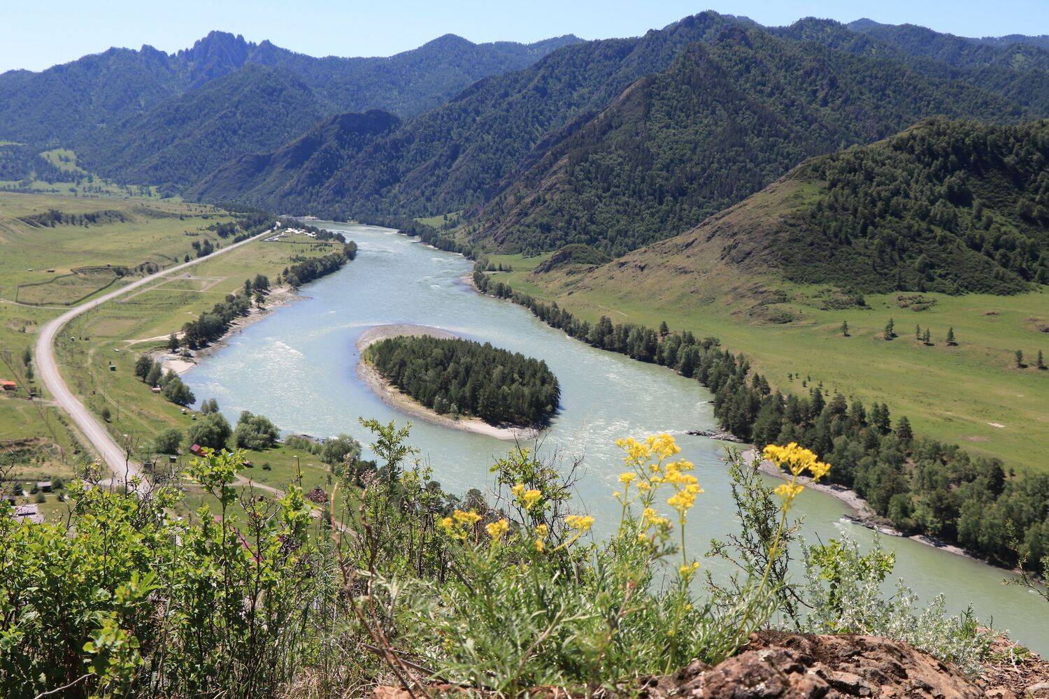 природа,островок,река,катунь,алтай, Козлова Галина