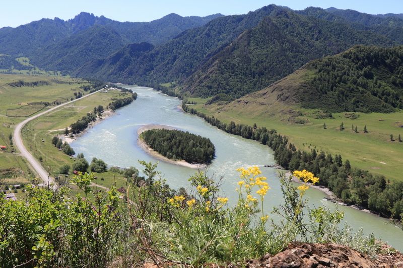 природа,островок,река,катунь,алтай Островок фото превью