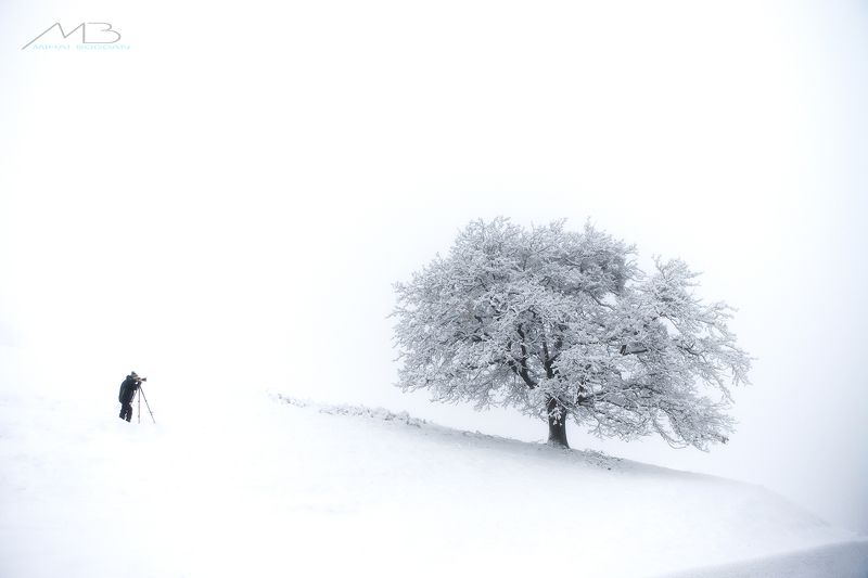Winter фото превью