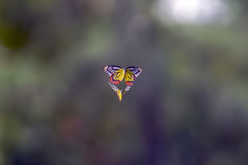 Together  фото превью