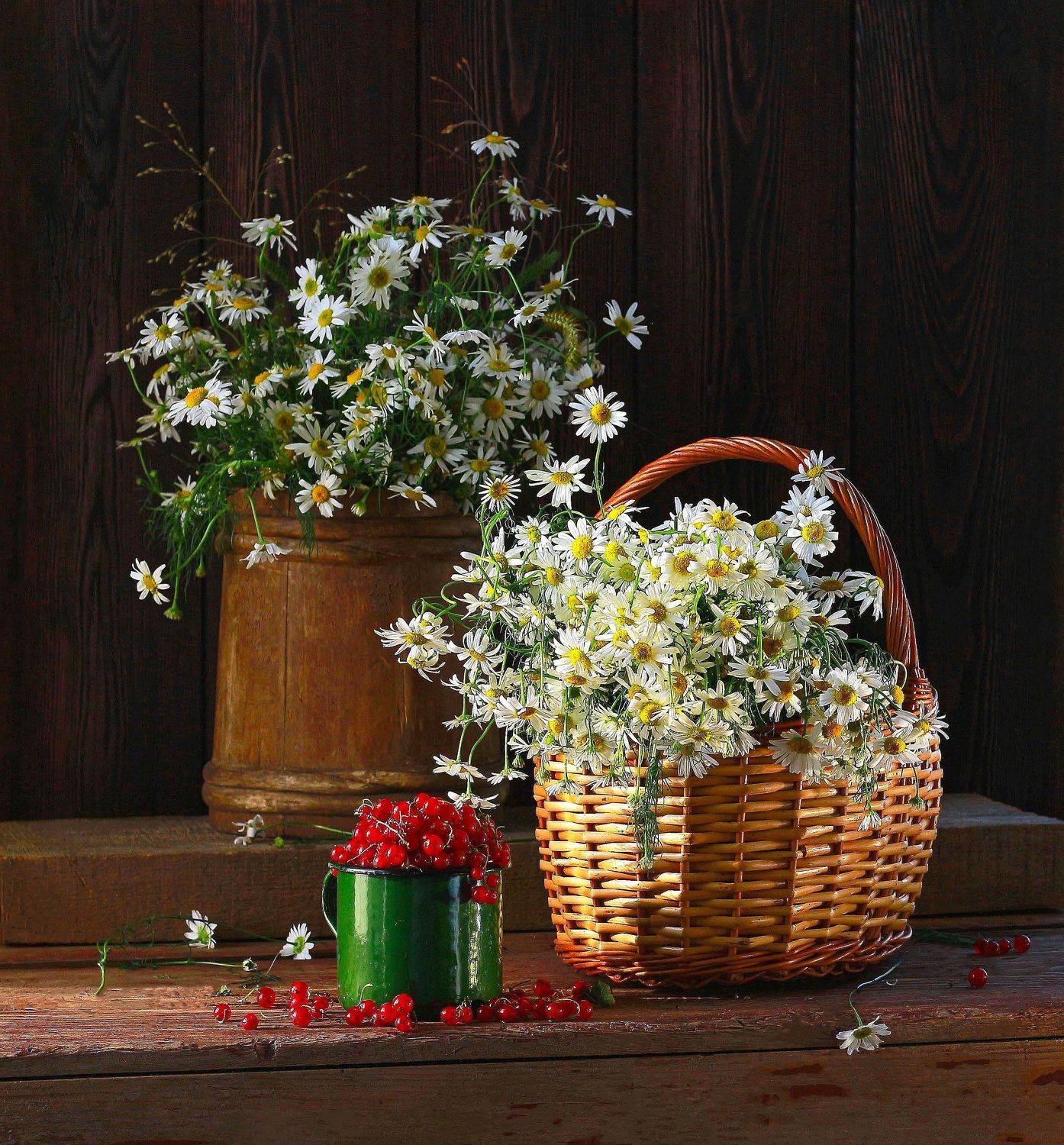 натюрморт, фотонатюрморт, лето, ромашки, цветы, ягода, смородина, stillifefoto, фотохудожник, наталья казанцева, Наталья Казанцева