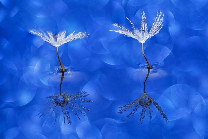 WATER. LITTLE SYMPHONY I фото превью