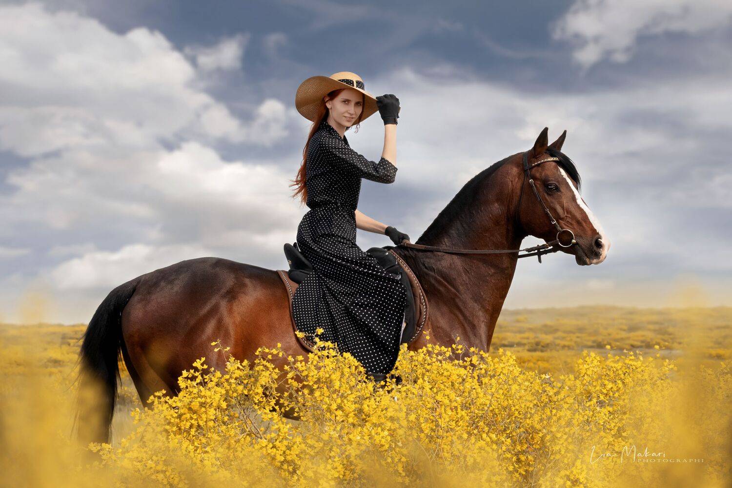 Лошадь, девушка, поле, horse, girl, ragazza, cavallo, Лия Макари