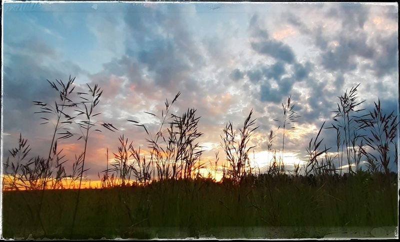 Закат,небо. Закат. фото превью