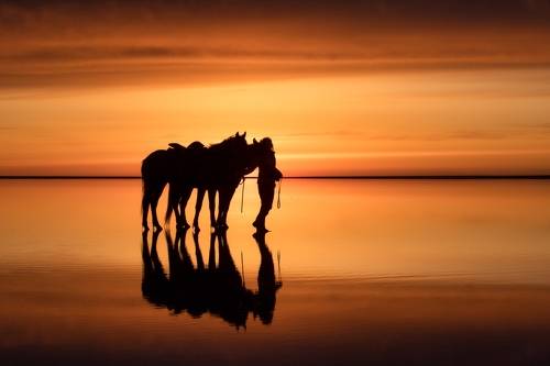 Эльтонский закат