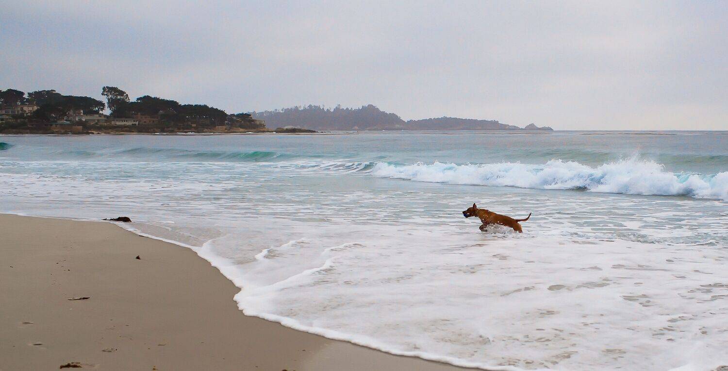 Ocean, Lilia Tkachenko