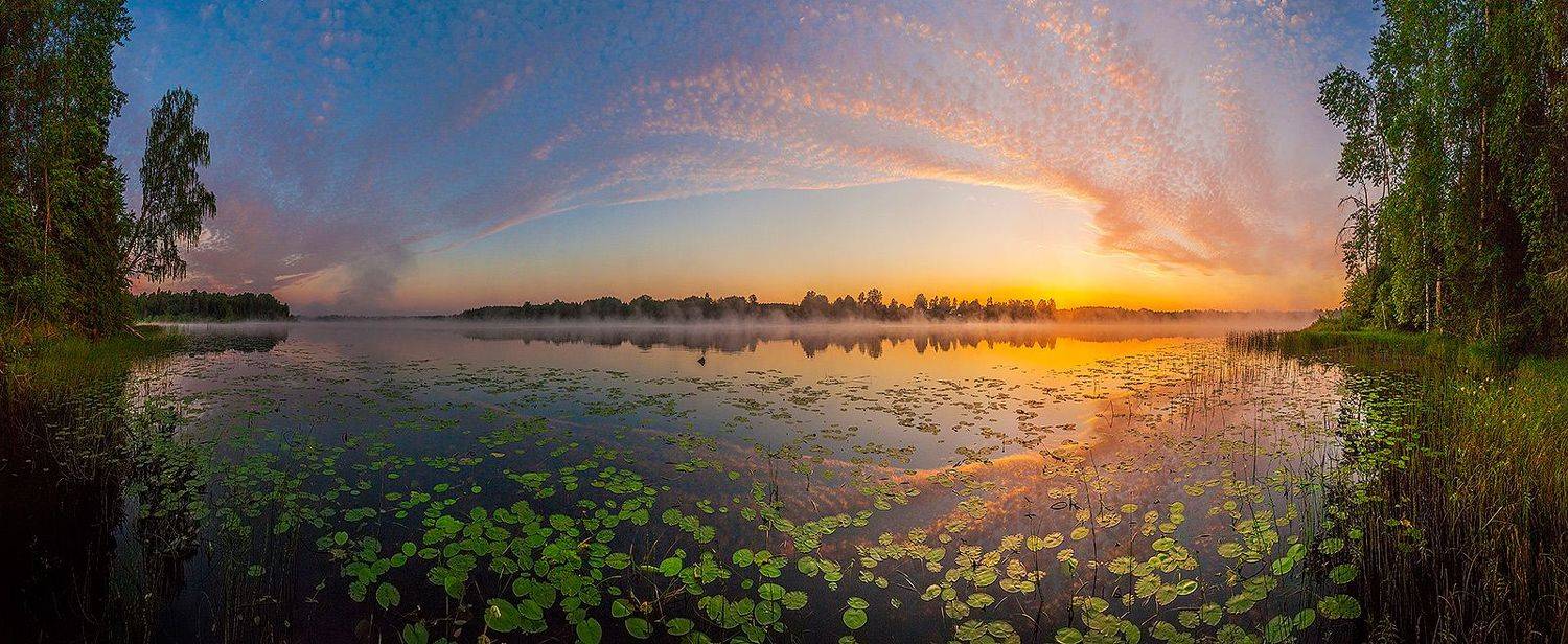, Напалкин Станислав