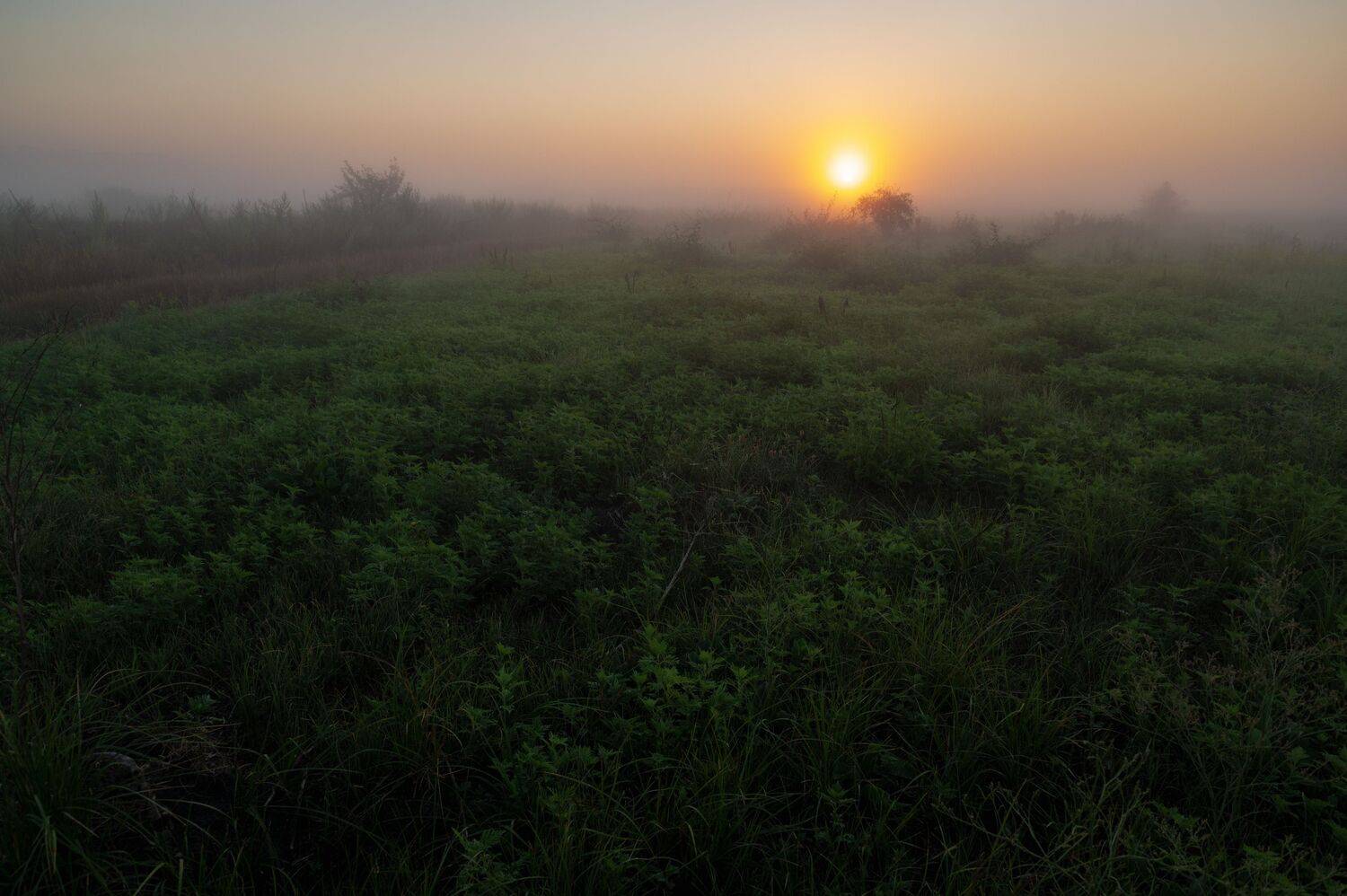 steppe, landscape, sunset, dawn, gras, field, sunlight, nature, rostov, don, meadow,, Бугримов Егор