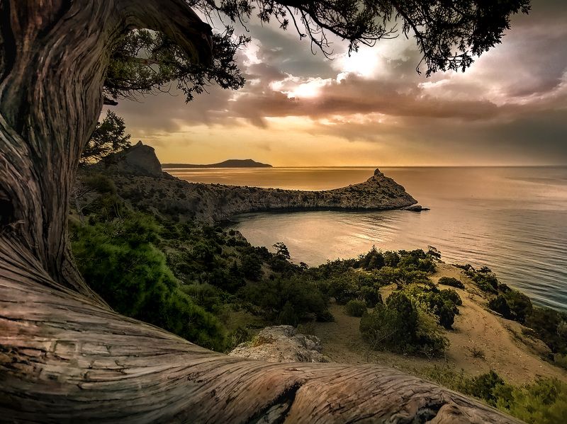 КОНТУРЫ ВОСХОДА фото превью